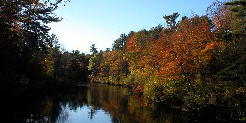 Foliage View - Bradley Palmer State Park - Topsfield, MA