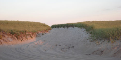 Nauset Beach. Photo by William DeSousa-Mauk.