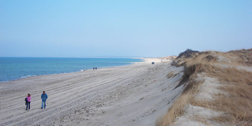 Sandy Neck Beach. Photo by William DeSousa-Mauk.