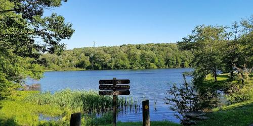 Pond at Pittsfield State Forest - Pittsfield, MA