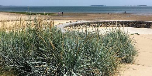 Nelson Memorial Beach Park - See Plymouth, MA