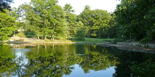 Lake at Rocky Woods - Medfield, MA