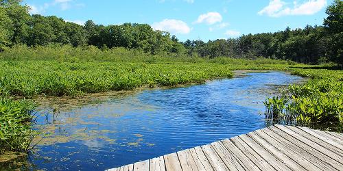 Broadmoor Wildlife Sanctuary - Natick, MA