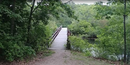 Boardwalk Trail - Stony Brook Reservation - Hyde Park, MA
