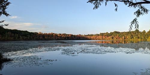 Hammond Pond Reservation - Chestnut Hill, MA