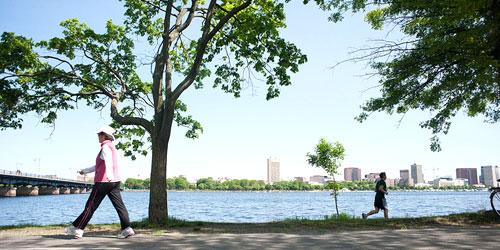 Back Bay Fens in Boston, MA - Photo Credit MOTT