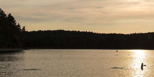 Chicopee Memorial State Park - Chicopee, MA - Photo Credit MA State Parks