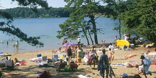 Beach - Nickerson State Park - Brewster, MA - Photo Credit MA State Parks