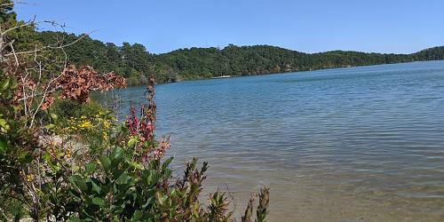 Fishing Spot - Nickerson State Park - Brewster, MA