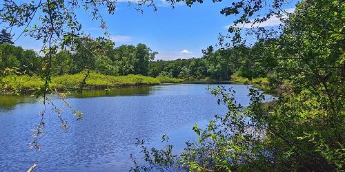 Rocky Narrows - Sherborn, MA - Photo Credit Ian Hersmdolf-Placido