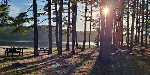 Beach & Picnic Area - Myles Standish State Forest - Carver, MA - Photo Credit Vladimir Sluchak