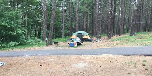 Campsite - Myles Standish State Forest - Carver, MA