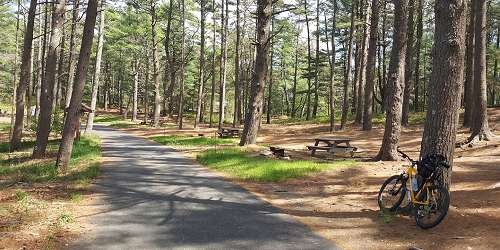 Trails & Picnic Area - Myles Standish State Forest - Carver, MA - Photo Credit George Butler