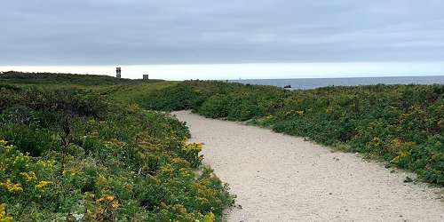 Sandy Trail - Horseneck Beach State Reservation - Westport, MA