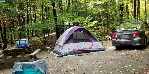 Campsite - DAR State Forest - Goshen, MA - Photo Credit Julie Abare