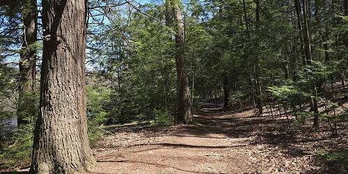 Hiking Trail - Chicopee Memorial State Park - Chicopee, MA