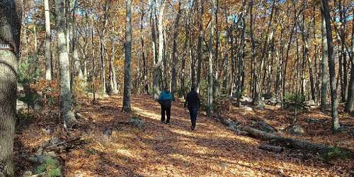 Hiking Trail - Hopkinton State Park - Hopkinton, MA