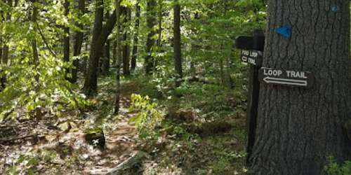 Hiking Trail - Sandisfield State Forest (York Lake) - Sandisfield, MA - Photo Credit Kristofer Soberano