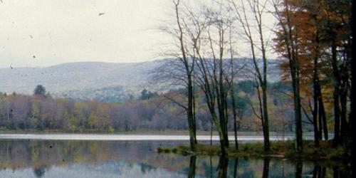 Clarksburg State Park - Clarksburg, MA - Photo Credit MA State Parks