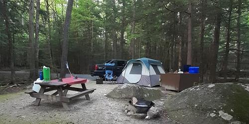 Camping Area - Clarksburg State Park - Clarksburg, MA