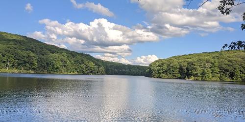 Benedict Pond - Beartown State Forest - Monterey, MA - Photo Credit Mark Sheldon