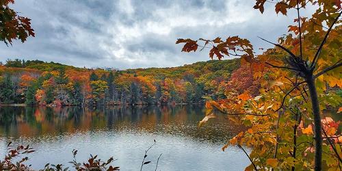 Foliage Lake View - Dunn State Park - Gardner, MA