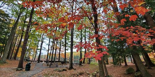 Picnic Area - Dunn State Park - Gardner, MA