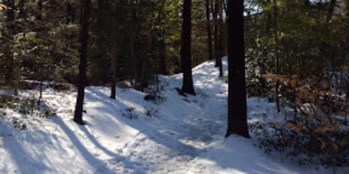 Snowy Trail - Dunn State Park - Gardner, MA - Photo Credit Thomas Garrity