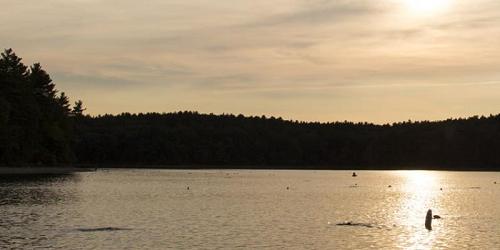 Hampton Ponds State Park - Westfield, MA - Photo Credit MA State Parks