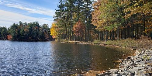 Lakeside Beach - Leominster State Forest - Leominster, MA - Photo Credit Sharon Vardi