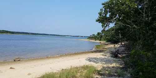 Beach Hiking - Felix Head Wildlife Sanctuary - Edgartown, MA