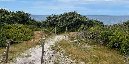 Beach Trail - Cedar Tree Neck Sanctuary - Vineyard Haven, MA