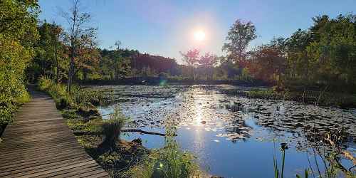 Ipswich River Wildlife Sanctuary - Topsfield, MA - Photo Credit Mass Audubon