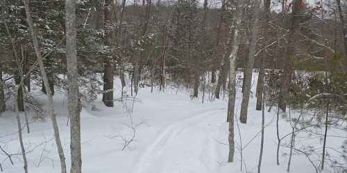 Snowy Trail - Douglas State Forest - Douglas, MA
