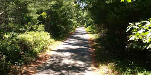 Biking Trail - Manuel Correllus State Forest - Edgartown, MA - Photo Credit Gideon Glass