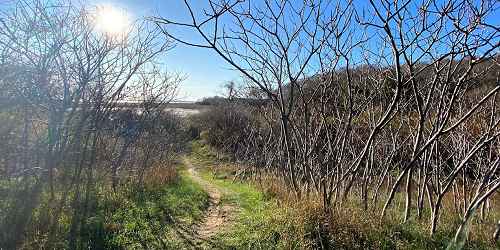 Shoreline Trail - Ellisville Harbor State Park - Plymouth, MA - Photo Credit Stephen Kovach