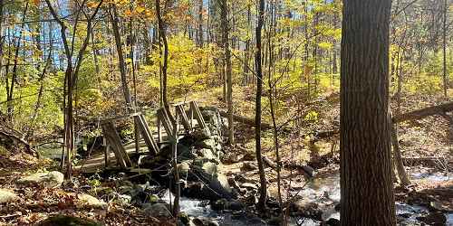 Trail Bridge - October Mountain State Forest - Lee, MA
