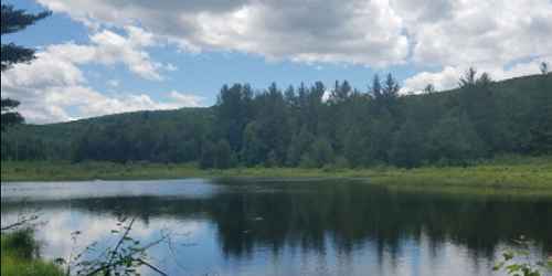 Lake View - Savoy Mountain State Forest - Florida, MA - Photo Credit Bailey Fogle