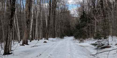 Winter Trail - Savoy Mountain State Forest - Florida, MA - Photo Credit Marylea Lueth