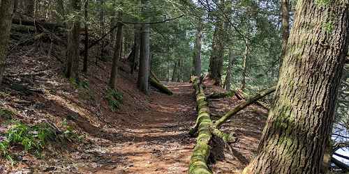 Trail - Brimfield State Forest - Brimfield, MA - Photo Credit Michael Laferriere