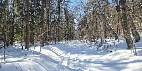 Snowy Trail - Mount Greylock State Reservation - Lanesborough, MA - Photo Credit Aubri Drake