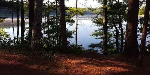 Lake View - Otter River State Forest - Baldwinville, MA - Photo Credit Mark Jones