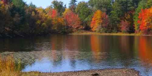 Foliage View - East Brimfield Lake - East Brimfield, MA