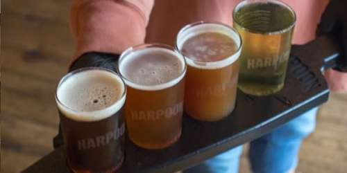 Beer Paddle - Harpoon Boston Brewery - Boston, MA