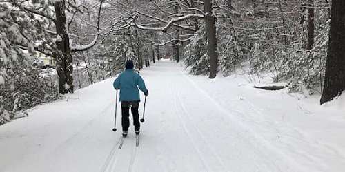 Elm Park & Newton Hill Nordic Ski Park - Worcester, MA