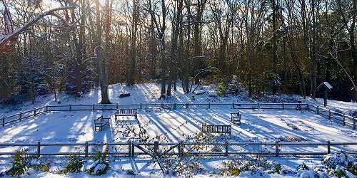 Winter at Beebe Woods - Falmouth, MA