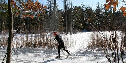 Great Brook Ski Touring Center - Carlisle, MA