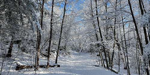 Middlesex Fells Reservation - Stoneham, MA - Photo Credit Karine Thate