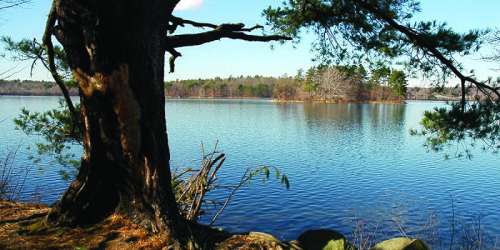 Lake View - Middlesex Fells Reservation - Stoneham, MA - Photo Credit MA State Parks