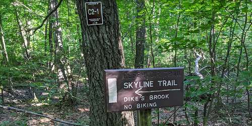 Hiking Trail - Middlesex Fells Reservation - Stoneham, MA - Photo Credit Sean sweeney